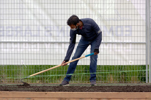 Edmonton's Newest Community Garden